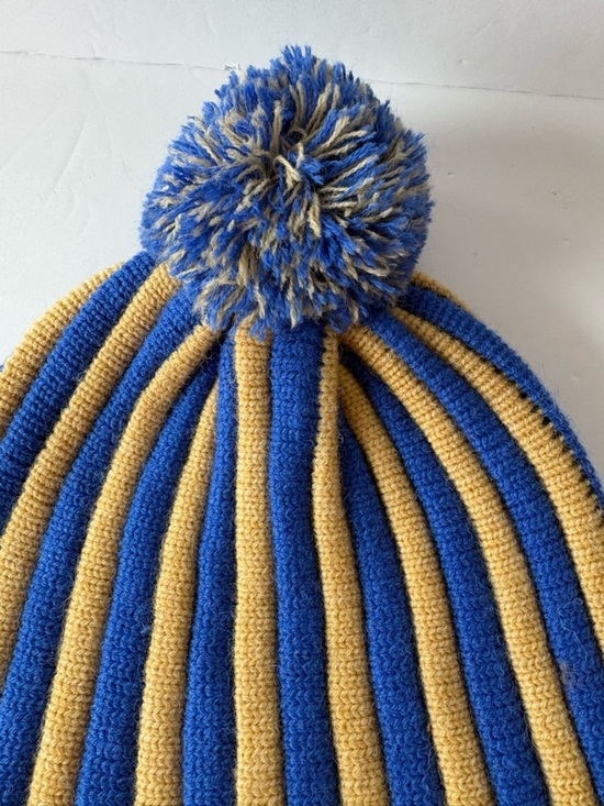 NWOT Free People FP Movement Alpine Pom Beanie